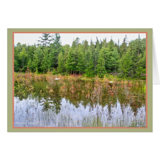 Cartão Zonas úmidas (Frente Horizontal)