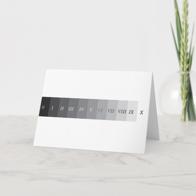 Cartão Zone System (Frente)