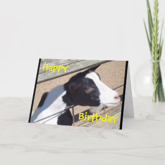 Cartão "Zoo Goat" Birthday Card