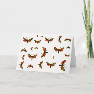 Cartão Zygaena carniolica - A Gente De Burnet