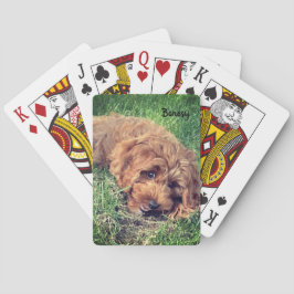 Cartas de Baralho Bonesy