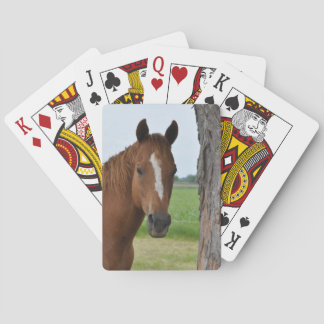 Cartas de Baralho Cavalo ao Pé da Árvore