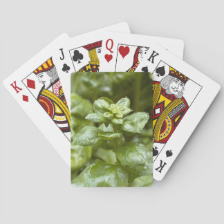 Cartas de Baralho Clássicas