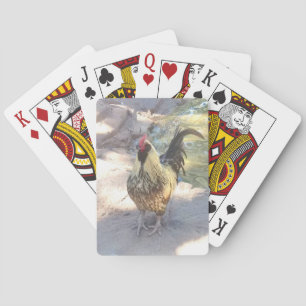 Cartas de Baralho com Galo