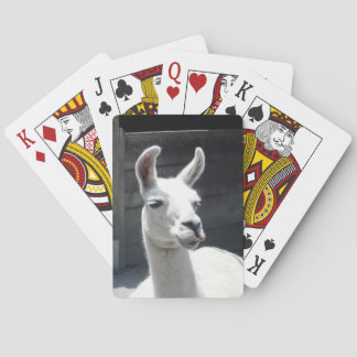 Cartas de Baralho com Lhama Sorridente