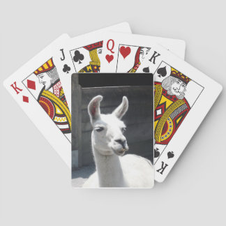 Cartas de Baralho com Lhama Sorridente