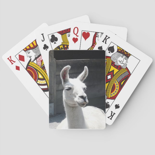 Cartas de Baralho com Lhama Sorridente (Verso)
