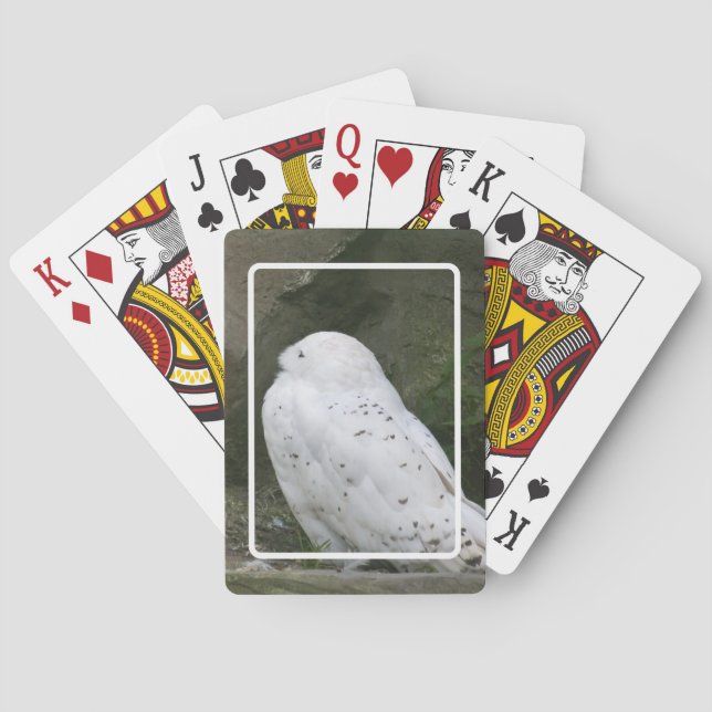 Cartas de Baralho da Coruja da Neve (Verso)