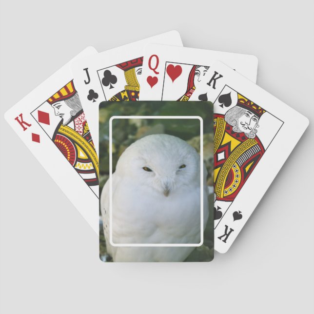Cartas de Baralho da Coruja da Neve (Verso)