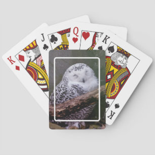 Cartas de Baralho da Coruja da Neve