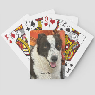 Cartas de Baralho de Border Collie Preto e Branco