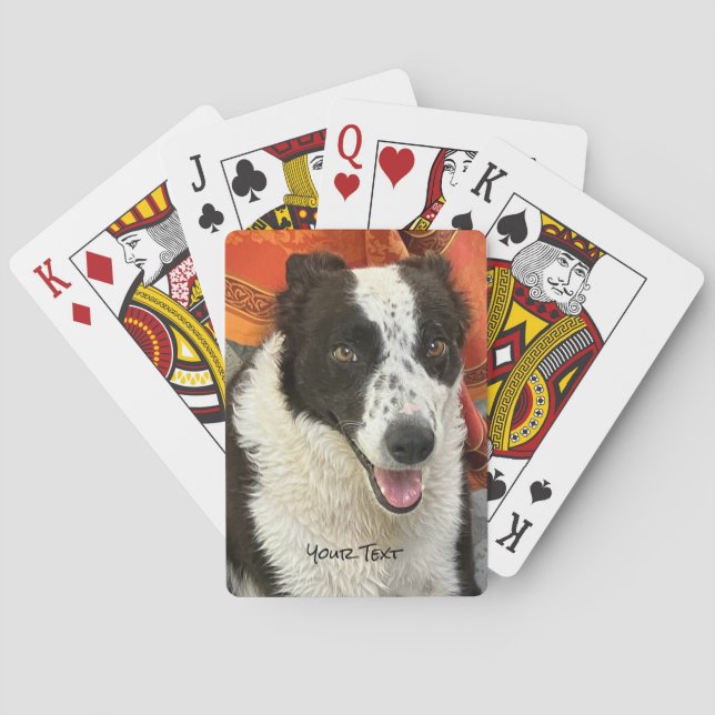 Cartas de Baralho de Border Collie Preto e Branco (Verso)