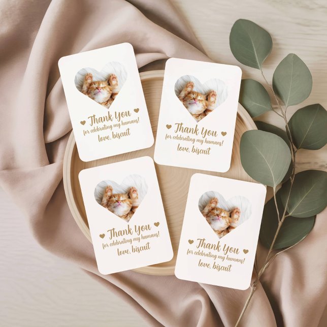 Cartas de Baralho de Casamento de Gato com Foto Do (Criador carregado)