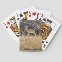 Cartas de baralho de cervos na moita