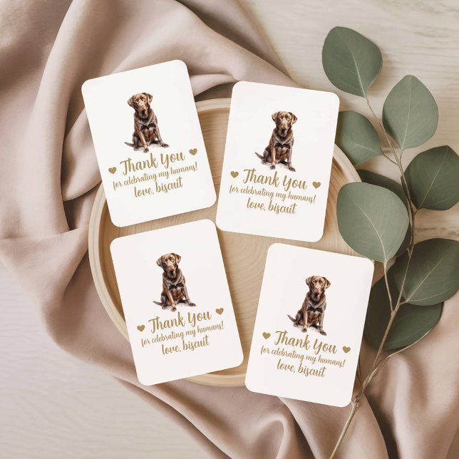 Cartas de Baralho de Favor de Casamento de Cachorr (Criador carregado)