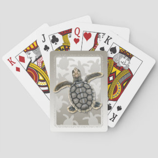 Cartas de Baralho de Filhote de Tartaruga Marinha