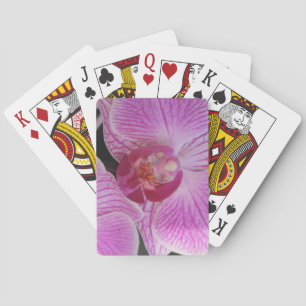 Cartas de Baralho de Orquídea Rosa com Flores