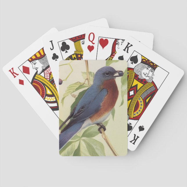 Cartas de Baralho de Pássaros (Verso)