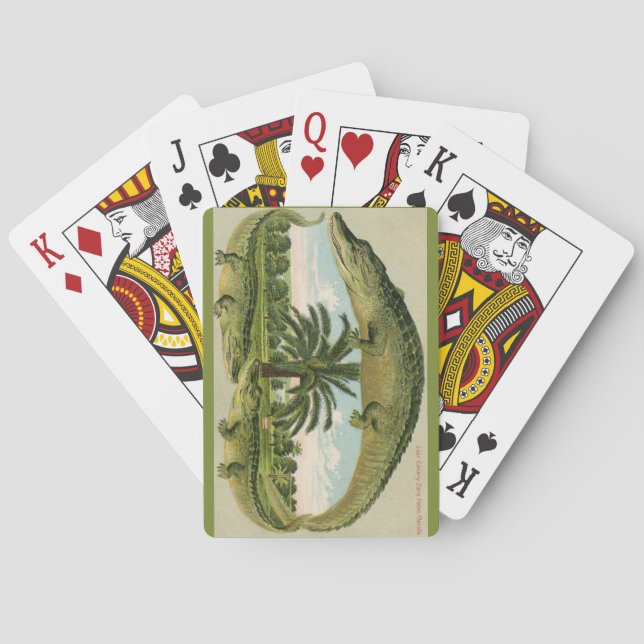 Cartas de Baralho de Postal Vintage de Jacaré (Verso)
