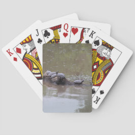Cartas de Baralho de Tartarugas