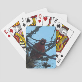 Cartas de Baralho do Cardinal