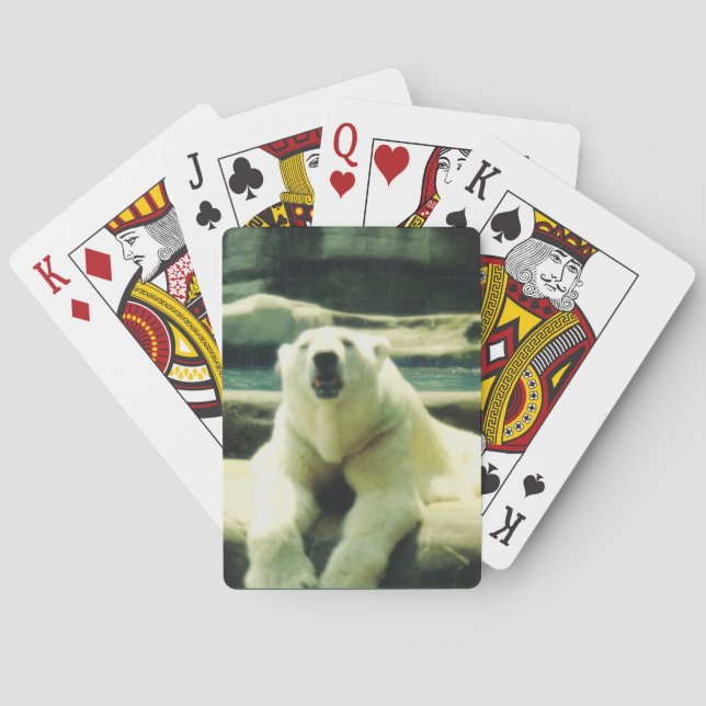 Cartas de Baralho do Urso Polar (Verso)