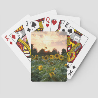 Cartas de Baralho Girassol