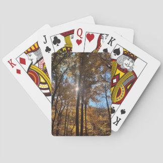 Cartas de Baralho Luz Solar na Floresta