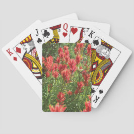 Cartas de baralho Pincel