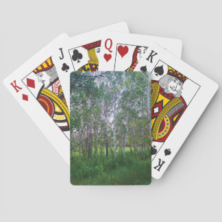 Cartas de Baralho Quakies