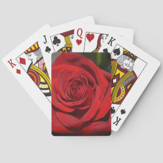 Cartas de Baralho Rosa Vermelha