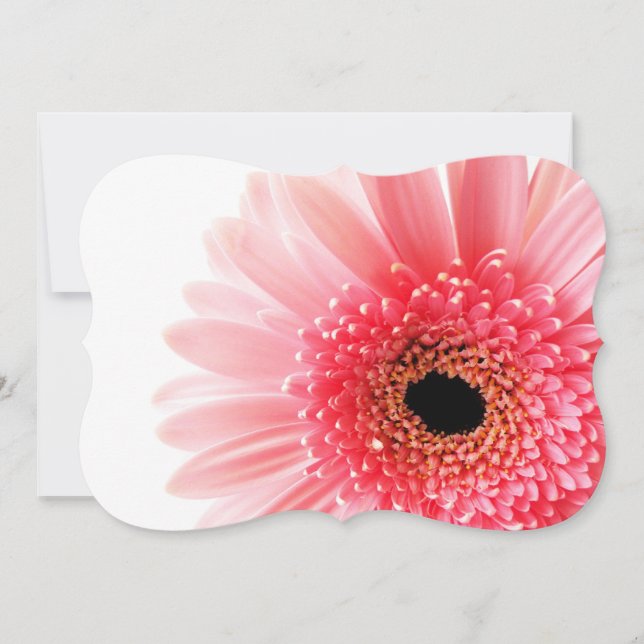 Cartaz da Gerbera Daisy (Frente)