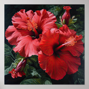Cartaz de Arte de Impressão da Flor de Hibisco Ver
