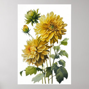 Cartaz de Arte de Impressão de Flores de Dalias Am