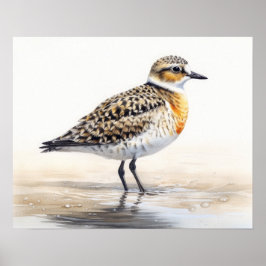 Cartaz de Arte de Impressão do Pássaro Plover Dour