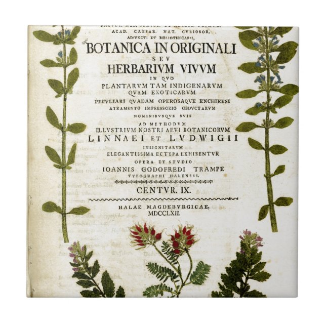 Cartaz de Botão Antiquado (Frente)