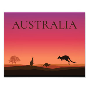 Cartaz de Foto de Cangurus da Austrália