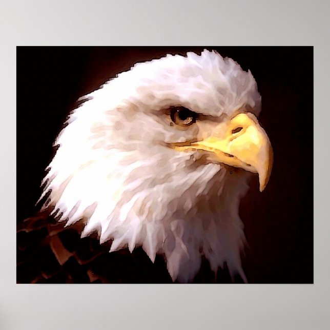 Cartaz de Impressão Águia Americana Careca (Frente)