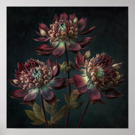 Cartaz de Impressão Artística de Flores Burgundy A