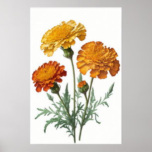 Cartaz de Impressão Artística de Flores Laranja de