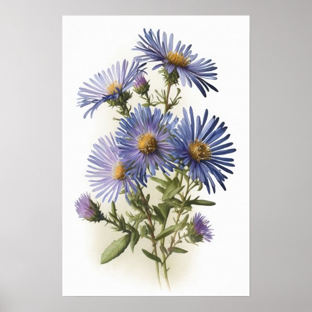 Cartaz de Impressão de Arte da Flor Aster Azul (Frente)