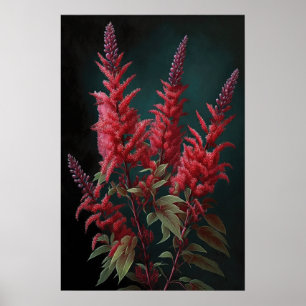 Cartaz de Impressão de Arte da Flor Astilbe Vermel