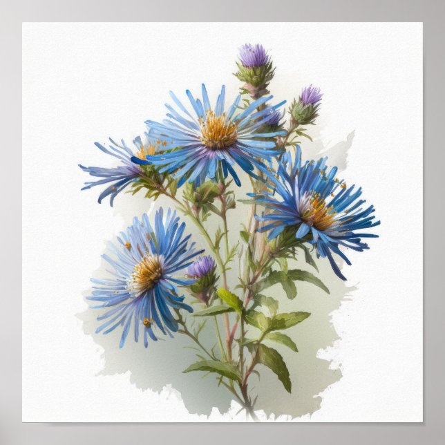 Cartaz de Impressão de Arte da Flor de Áster Azul (Frente)