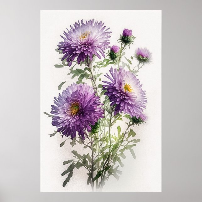 Cartaz de Impressão de Arte da Flor de Áster Roxa (Frente)
