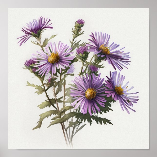Cartaz de Impressão de Arte da Flor de Áster Roxa (Frente)