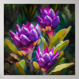Cartaz de Impressão de Arte da Flor de Curcuma Rox