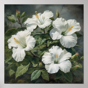 Cartaz de Impressão de Arte da Flor de Hibisco Bra