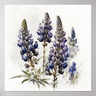 Cartaz de Impressão de Arte da Flor de Lupino Azul