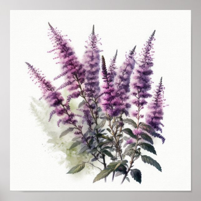 Cartaz de Impressão de Arte da Flor Roxa Astilbe (Frente)