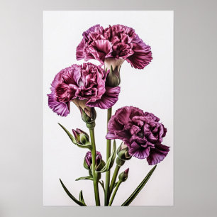 Cartaz de Impressão de Arte de Flor de Cravos Roxo